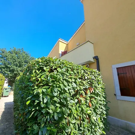 Oliva Volme Apartment